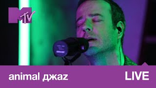 Animal Джаz – Три Полоски // Mtv Live Music