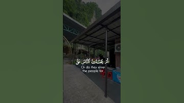 اللهم اجعل القران ربيع قلوبنا ونور صدورنا يارب #قرآن #قران_كريم #تلاوة_خاشعة #القران_الكريم #fyp