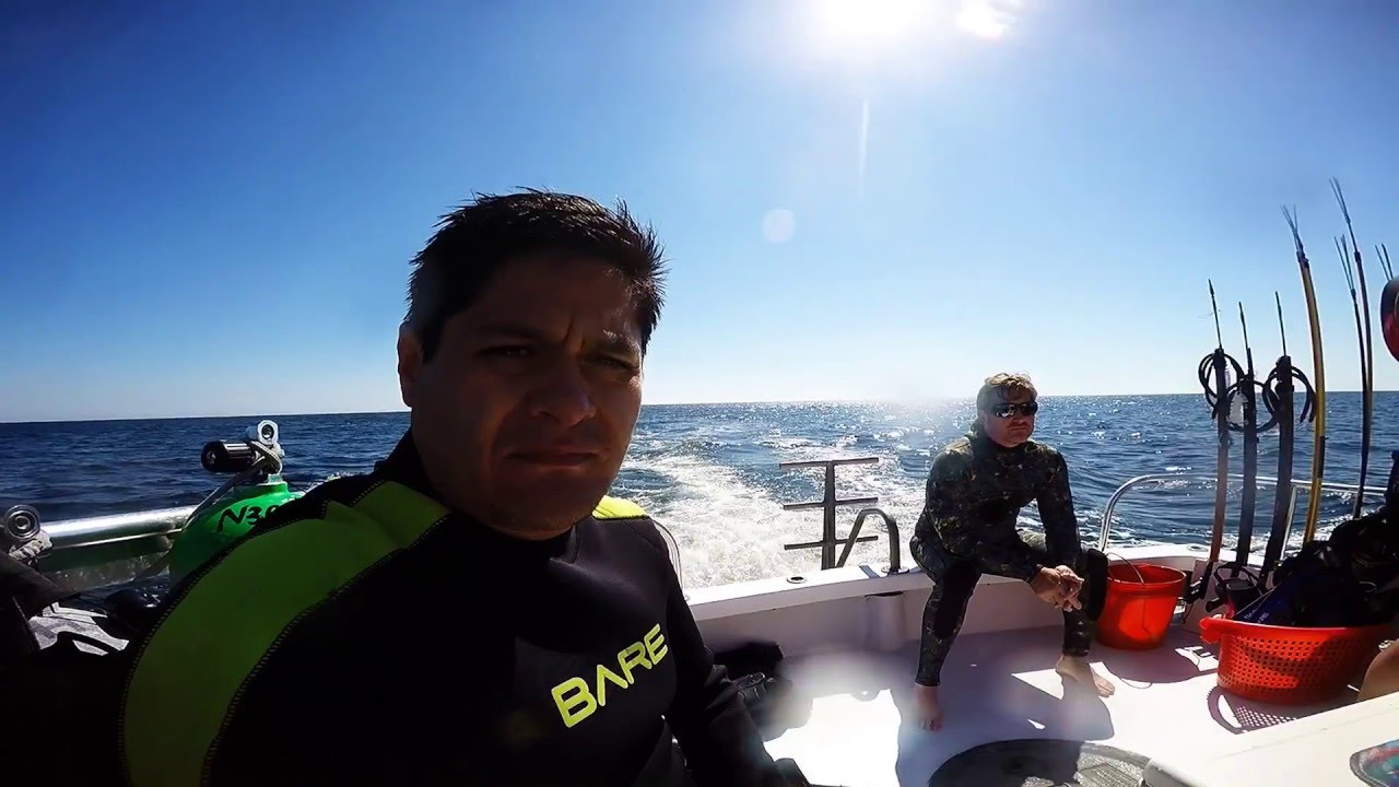 Diving offshore Jacksonville Florida YouTube