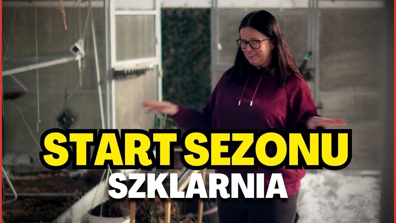 Otwarcie sezonu w SZKLARNI  Czas na porządki!