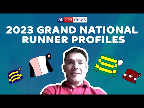 Video: Roșul a alergat cu siguranță la Grand National?