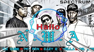 EAZY E x ICE CUBE x Dr DRE x Mc. REN - Hello (New Version)