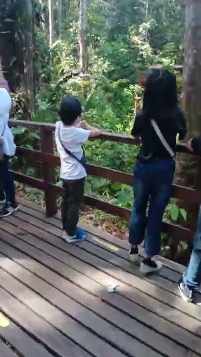 semongok wildlife(2)