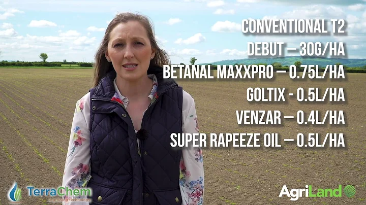 CROPS WATCH: Keep ahead of weeds in beet to ensure...