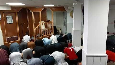 ما تيسر من سورة ابراهيم صلاة التراويح الليلة 14 من رمضان 1445