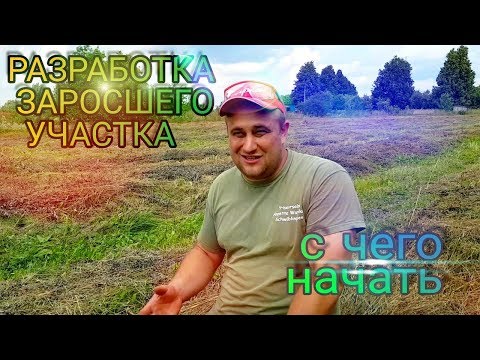 Разработка нового-заросшего участка и с чего начинать