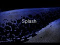 Study 103 - &quot;Splash&quot; - VR180 4K 3D Stereoscopic Visual Music