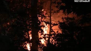 LAFD Light Force 64 Puts Out Small Vegetation Fire in South Los Angeles