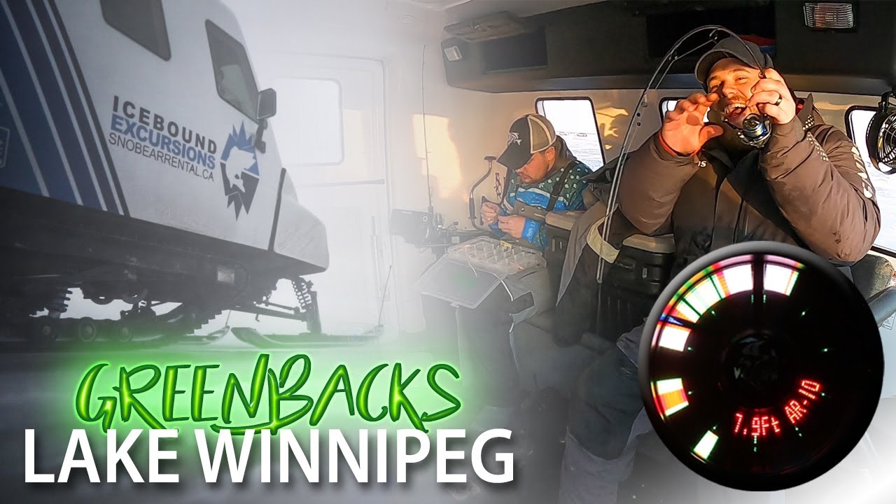 Ice fishing GREENBACK walleyes on Lake Winnipeg (100 fish day!) 