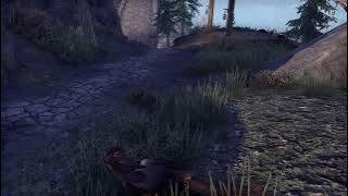 Silent Light Productions playing The Elder Scrolls Online: Tamriel Unlimited