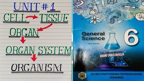 Grade 6 Unit 1 Tissues make organs and organs make organs system and then organisms, how this made