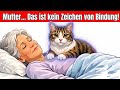 Warum deine Katze plötzlich auf dich klettert – Das ist die WAHRE Bedeutung