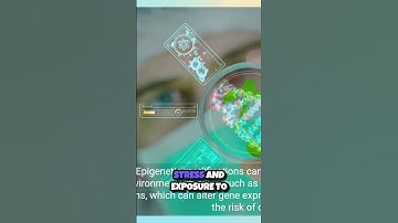 Unlocking the Secrets of Epigenetics  How Your Environment Shapes Your Health 🧬
