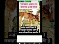 #viralvideo #treading #popular #motivation shree Swami Samarth 🙏