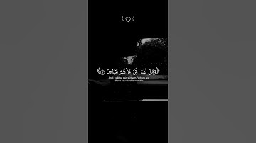 {إلّا من أتى اللّه بقلبٍ سليم}🤍 #القرآن_الكريم #تلاوة #القرآن