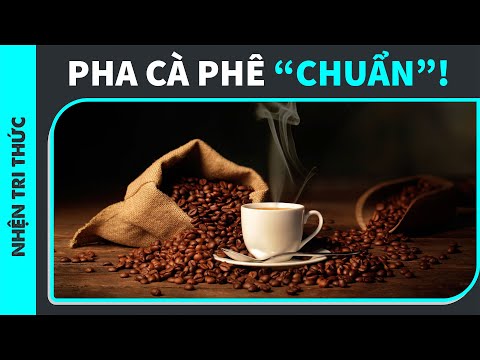 Một số kiến thức chung về cà phê - Phần 2 | SPIDERUM | Minh | Kiến thức cuộc sống