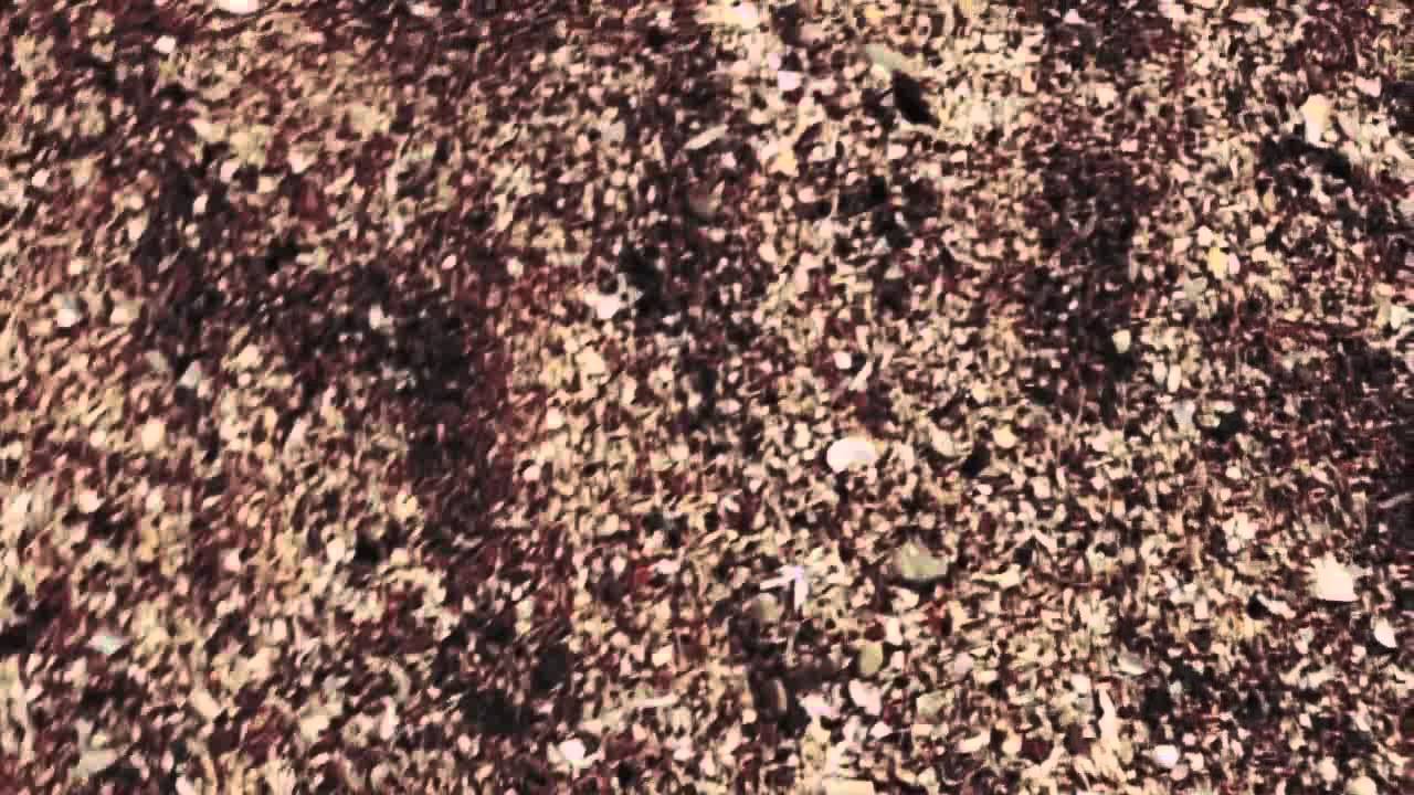 YouTube에서 Nadja. One Sense Alone 보기 YouTube에서 Nadja. One Sense Alone 보기