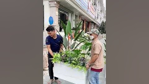 Thiết kế tiểu cảnh cây giả thịnh hành nhất LanDecor