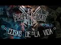COSAS DE LA VIDA × PEDRO EUAN  - [VISUALIZER]