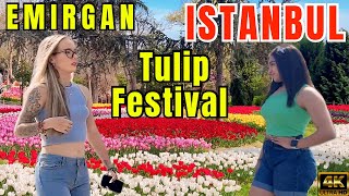  Turkey Istanbul Tulip Festival Emirgan Korusu 4K