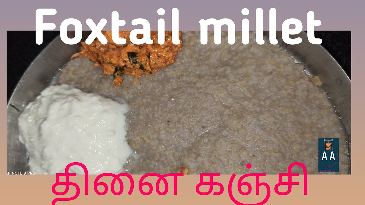 Healthy Foxtail millet thinai kanji YouTube