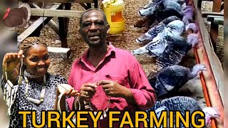 A Side of Turkey Farming You Didn't Know Existed. #kenya