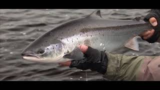Pratt Falls Lodge Atlantic Salmon