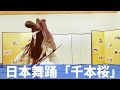 毎日投稿100日目/和風ダンス/日本舞踊/千本桜/踊ってみた/Japanese traditional dance/Kabuki