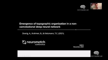 Emergence of topographic organization in a non-convolutional deep neural network (Neuromatch 4.0)