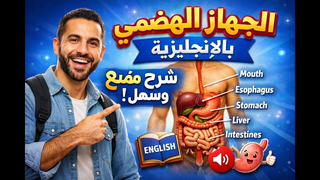تعلم أسماء أعضاء الجهاز الهضمي بالإنجليزية بسهولة وبطريقة ممتعة