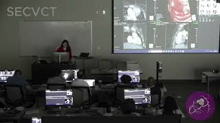 Case Analysis with Dr. Christina Thaler (Part 3 of 6) | SECVCT