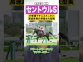 【阪神】セントウルステークス2026!高速馬場でスピードをキープしやすい大型馬に注目