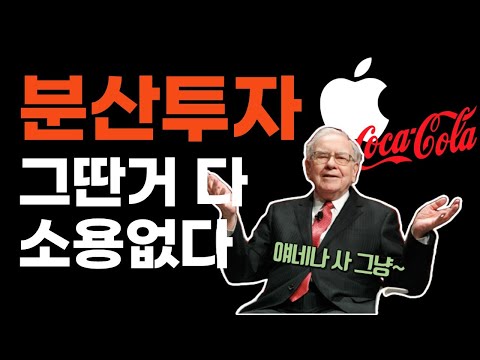 아무도 알려주지 않는 분산투자의 불편한 진실 (feat. 워렌버핏)