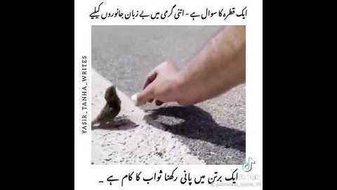 Kindness is always rewarded🥰