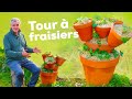 La tour  fraisiers  des kilos de fraises sur une toute petite surface  tutoriel tape par tape