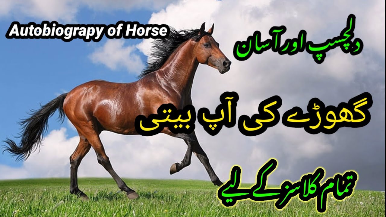 Autobiograpy of a Horse/For All Classes/گھوڑے کی آپ بیتی