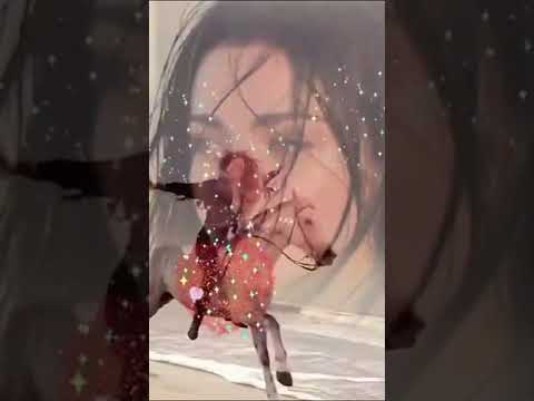 قالوا العشق أحساس نظره وكلام عيوت