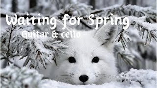 Waiting for Spring Beneath Silent Snow｜Relaxing Guitar & Cello for Peaceful Waiting