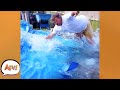 Goodbye POOL, Goodbye DUDE! 🤣 | Top Funny Water Fails | AFV 2022