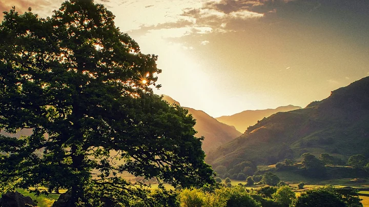 Creation Energies: Rebellious You is Peeking Out - March 20, 2017