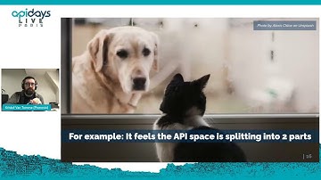 Apidays LIVE Paris 2021 - The Interface manifesto  By Kristof Van Tomme @Pronovix