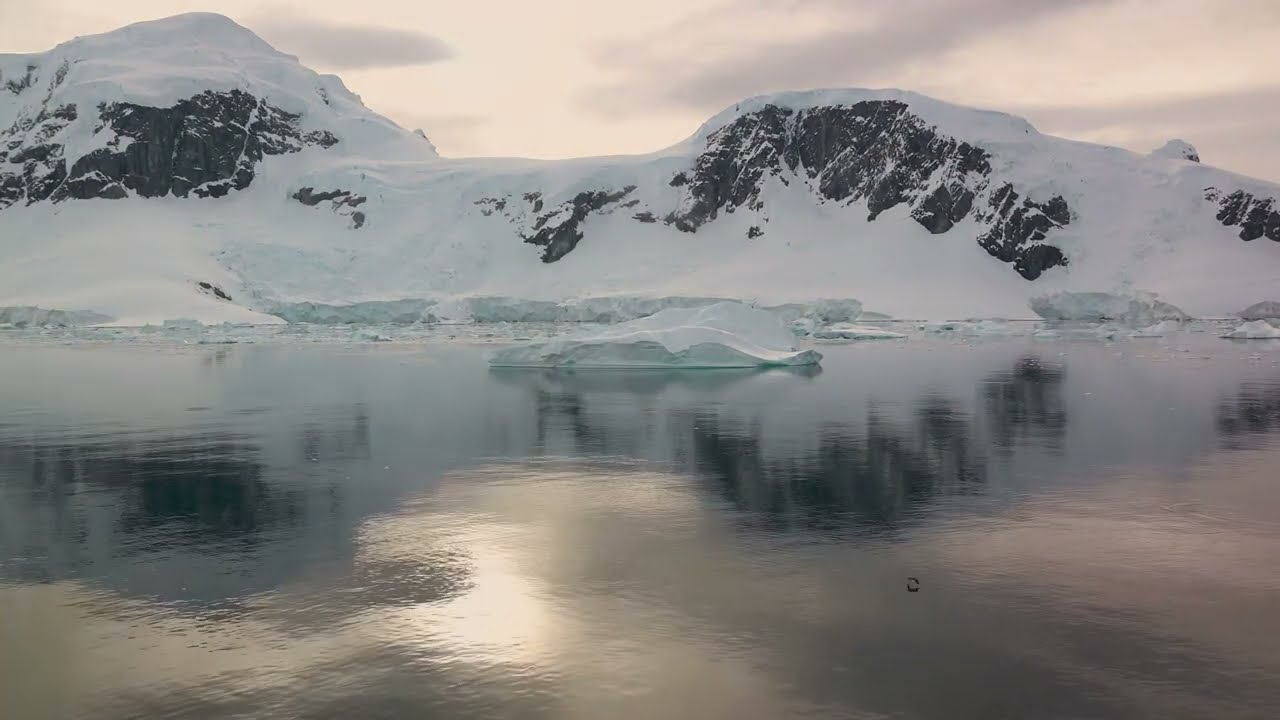 Antarctica Expedition Diaries: Icebergs, Penguins, and Extreme Adventures at the End of the Earth!