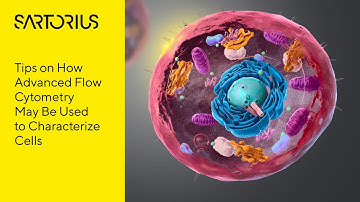 Webinar Preview: Simplified Characterization of Cells using Flow Cytometry