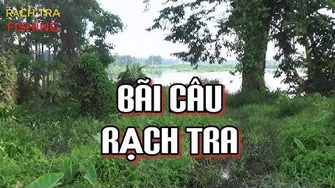 REVIEW BÃI CÂU CÁ TRA SÔNG