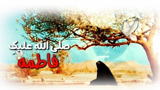 صلى الله عليكِ فاطمة ~ قاسم حمادي ~ استشهاد السيدة فاطمة الزهراء عليها السلام