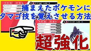 朗報 野生で捕まえたポケモンにもタマゴ技遺伝できる ポケモン剣盾 Youtube