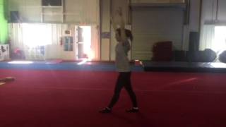 Division 3 Floor Routines 2017