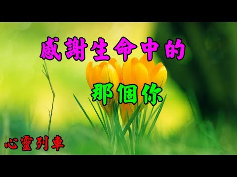 【心靈列車 】 感謝生命中的那個你：有些人，注定只是生命中擦肩的過客。從此在各自的幸福裡，那些以前的舊時光，那些你教會我的事，我會永遠記得。