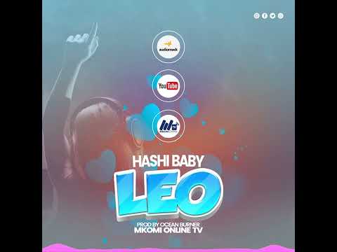 Hashi Baby Leo Office Audio