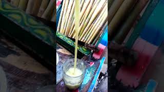 full glass sugar cane juice viral shortvideos